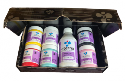 SET ESTUCHE CHALK PAINT ETERNA