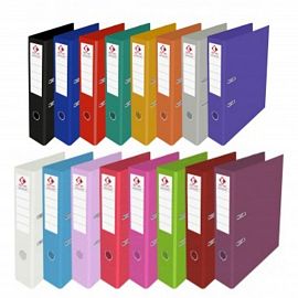 BIBLIORATO A4 ANCHO COMUN THE PEL