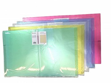 CARPETA CON FOLIO X20 A4 515111