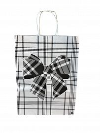 BOLSA LAZO ESCOCES 22X10X30 FANPACK