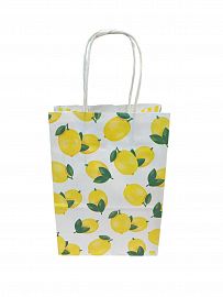 BOLSA LIMONES 14X8X20 FANPACK